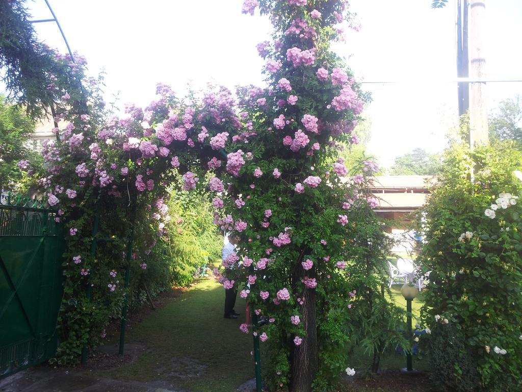 فندق ميراج Srīnagar المظهر الخارجي الصورة